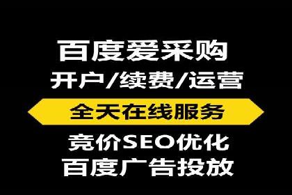 百度竞价SEM案例：揭秘高效广告投放技巧